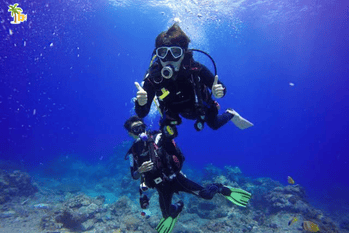 Scuba Diving At Grand Island